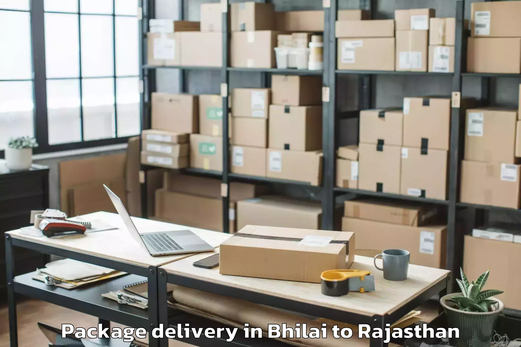 Reliable Bhilai to Kekri Package Delivery